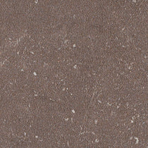 Arborite Inukshuk Brown P343 Laminate Sheet
