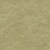 Arborite Springtime Impression P368 Laminate Sheet