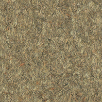 Arborite Pampas Safari P376 Laminate Sheet