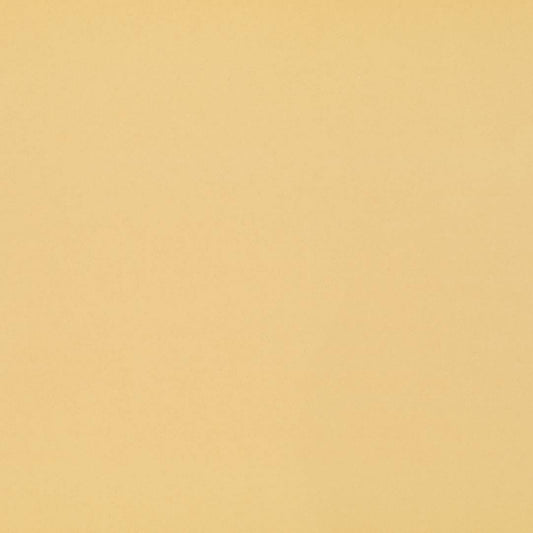 Nevamar Papier Au Lait PR2002 Laminate Sheet