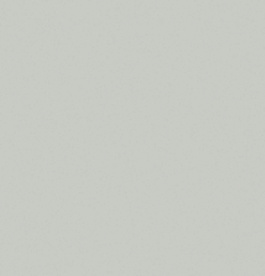 Pionite Mercury SG204 Laminate Sheet