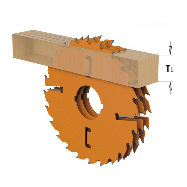 CMT Multi-Rip Circular Saw Blade, With Rakers